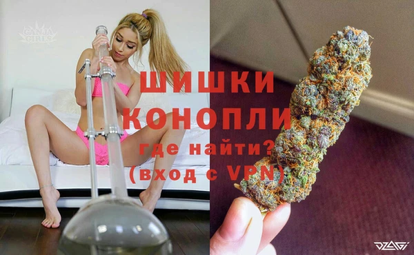 мяу мяу мука Медвежьегорск
