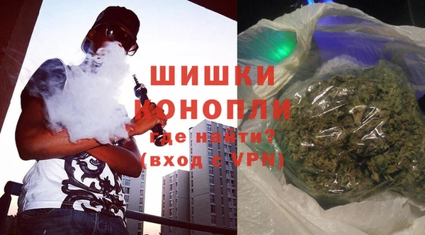 СК Тосно