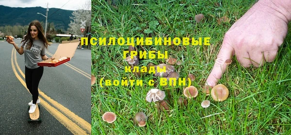 а пвп мука Мегион