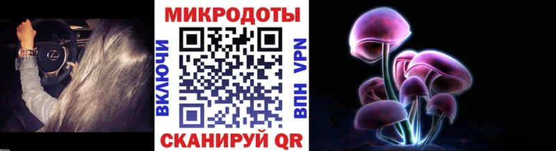Псилоцибиновые грибы прущие грибы  Нижняя Тура 
